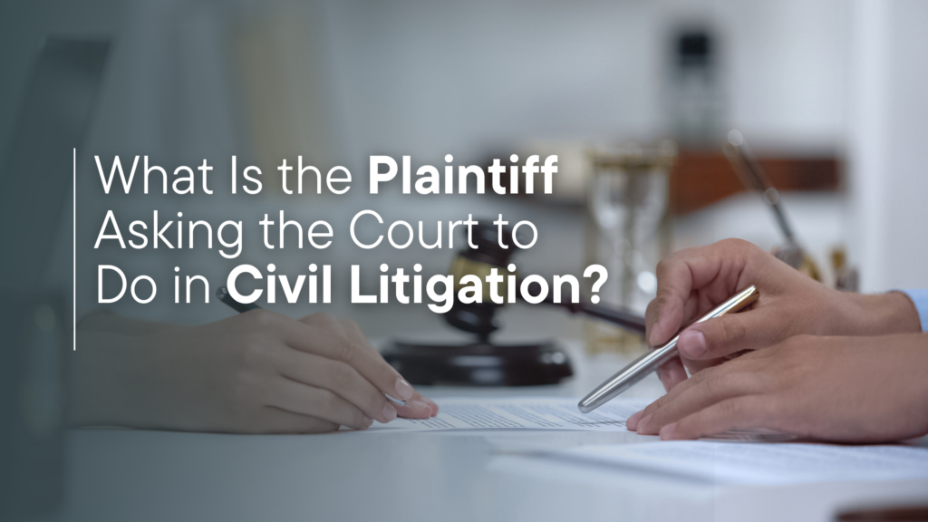 What Is the Plaintiff Asking the Court to Do in Civil Litigation?